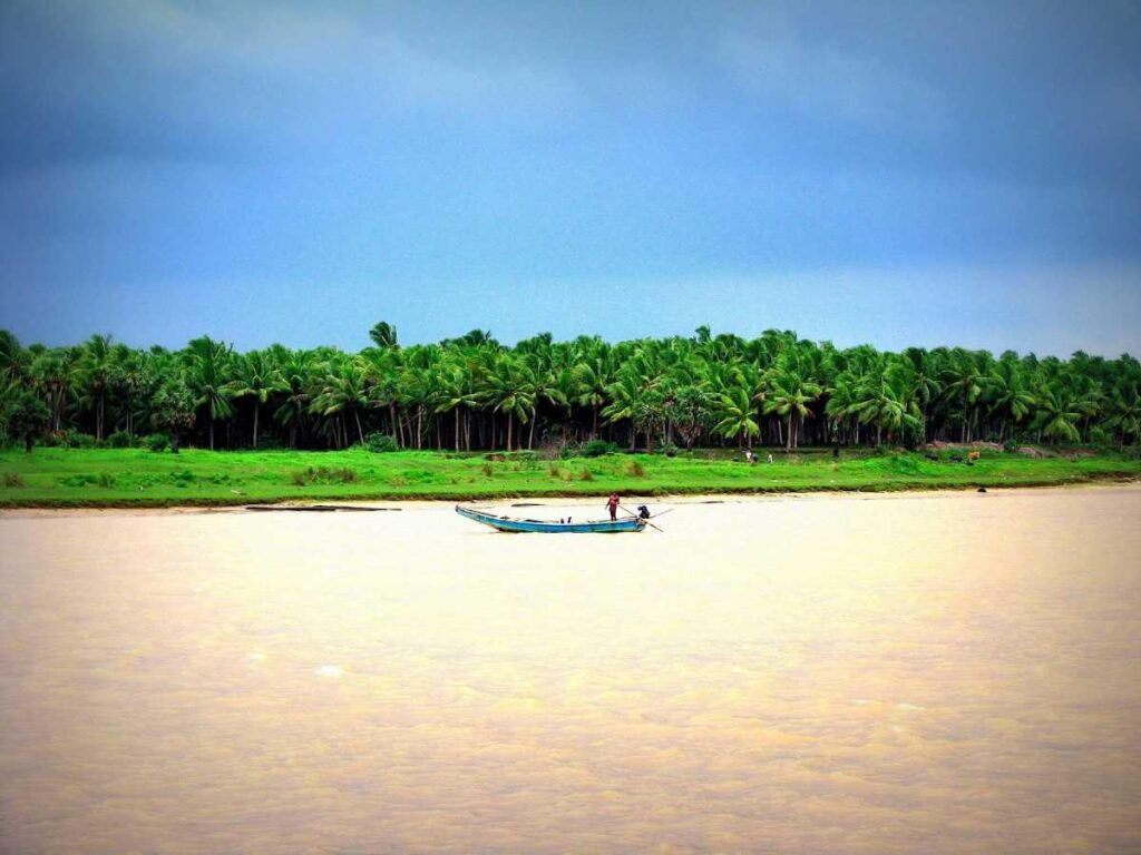 Scenic Konaseema landscape with coconut trees and peaceful river waters